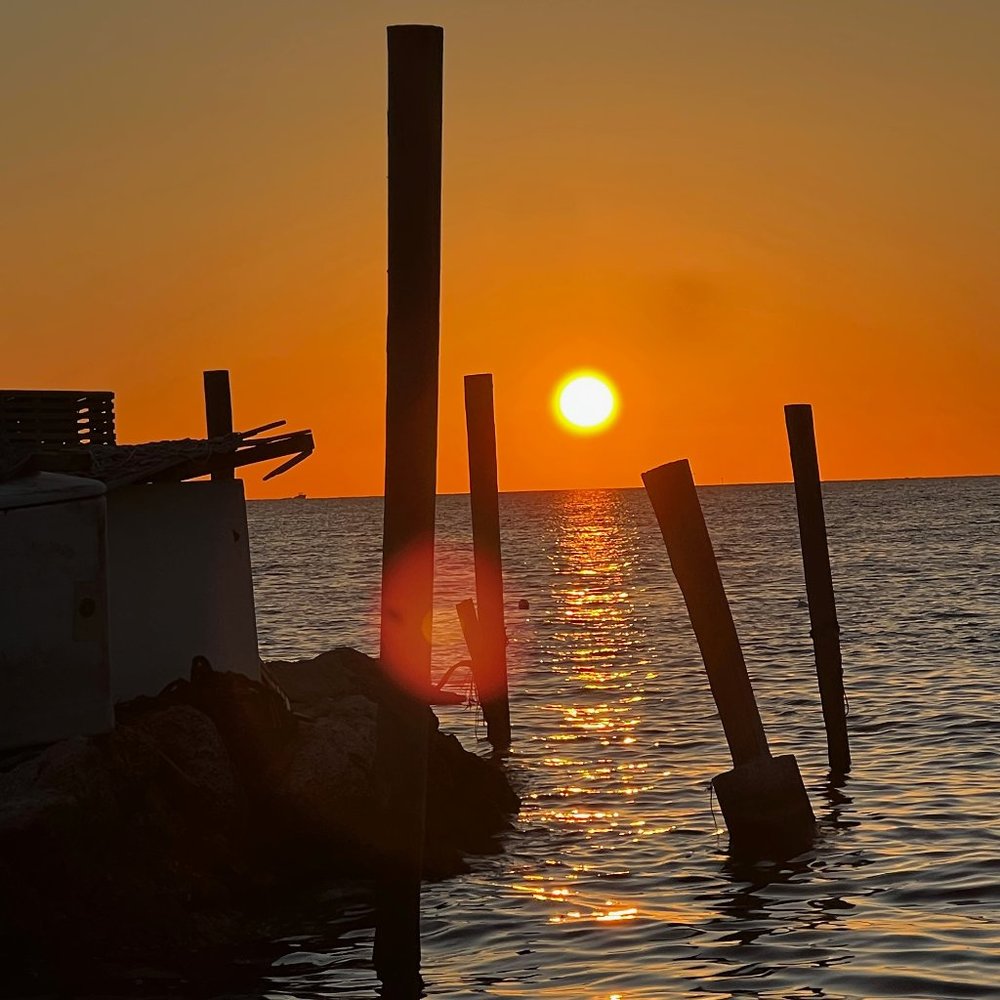 Meet your Posher, Gigi